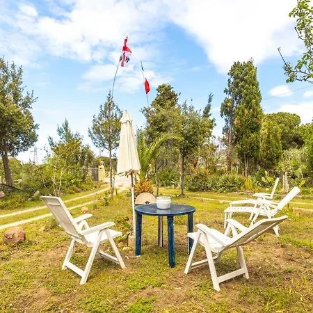 Li Junchi - Parcheggio Privato, 1 Km Dal Mare